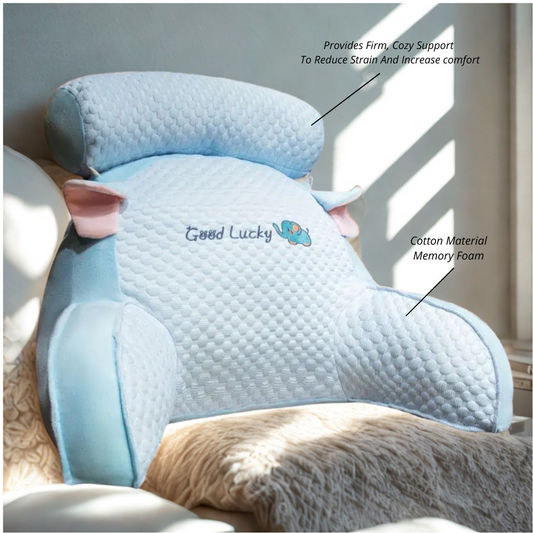 Our Backrest Waist Support Cushion