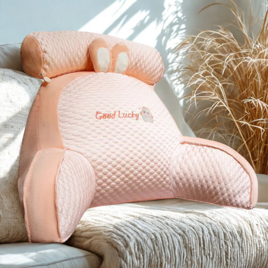 Our Backrest Waist Support Cushion